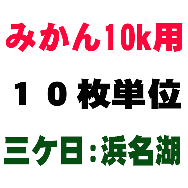 みかん箱10kg