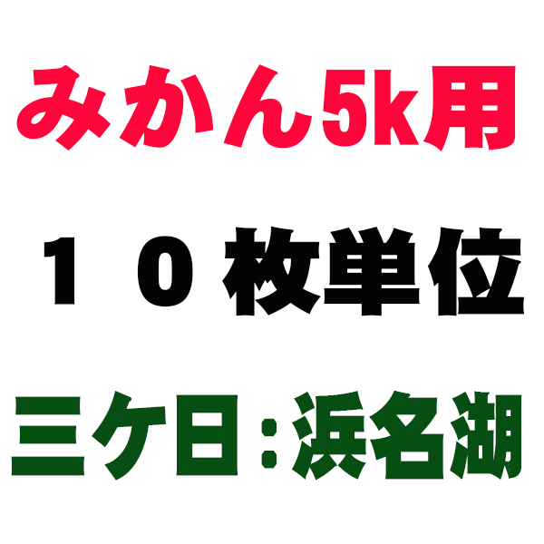 みかん箱5kg