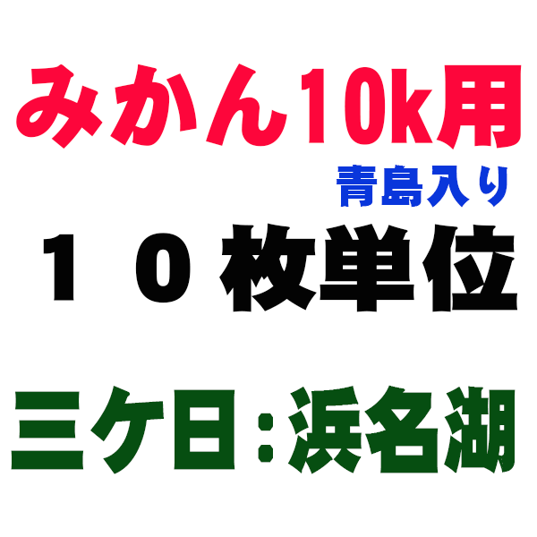 みかん箱10kg　青島